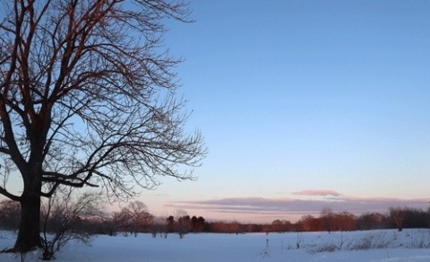 鹿にも出会えず