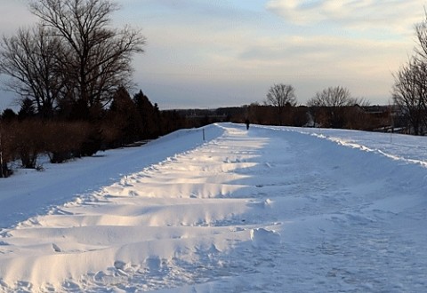 強風で出来た風雪紋