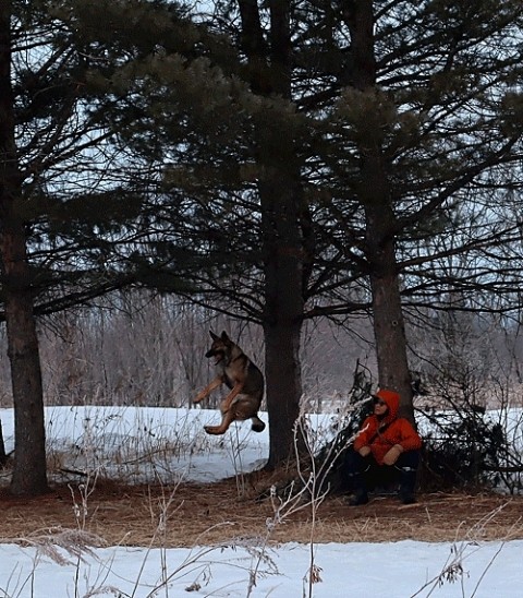 朝の家族の運動
