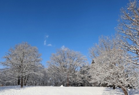 青空と雪景色