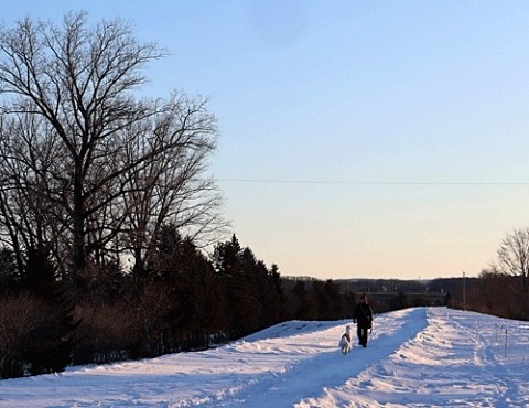 お散歩ワンちゃん