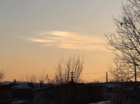 見られたのは彩雲