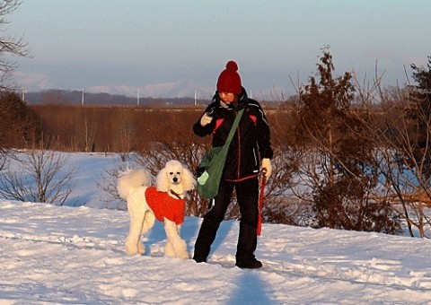 お散歩ワンちゃん