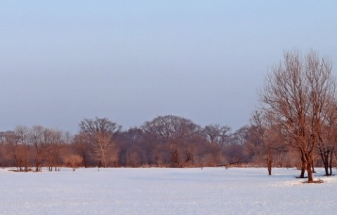 オリンピックも終わり寂しいです