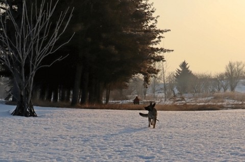 ブログあげるの忘れてました