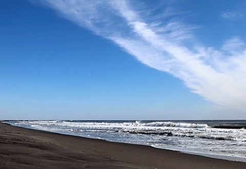 ドライブは大津の海
