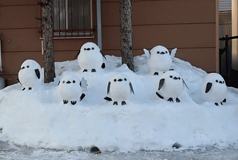 可愛いシマエナガ7羽