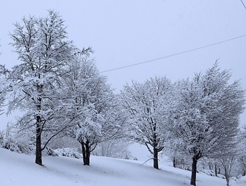 雪が降り続いています