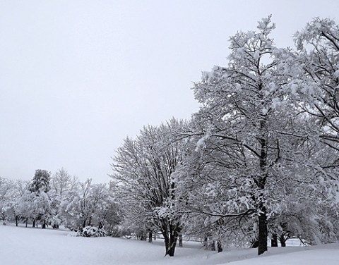 雪のあずさ公園