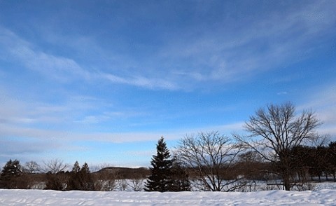 久しぶりの青空