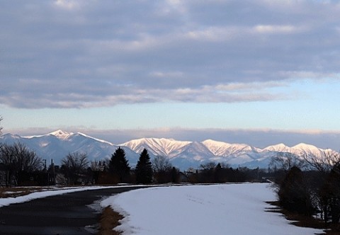 WBC侍ジャパン負けて残念!!