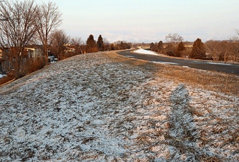 さらりと降った雪