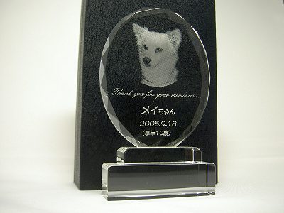 ペットとの思い出をクリスタルに