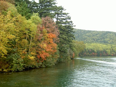 然別湖の紅葉