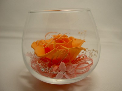 もう５月だって(>_<)