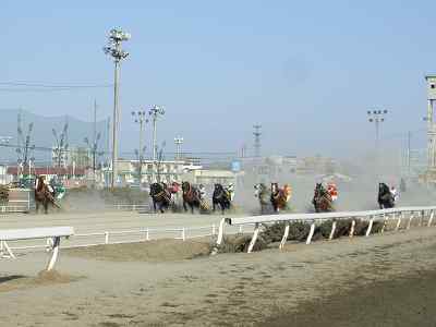 ばんえい競馬初観戦♪