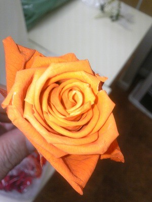 母の日ギフト受付中♪