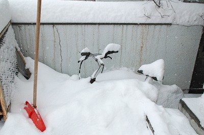 雪♪