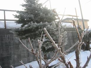 キャンペーンやってます