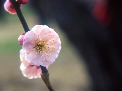 別れと出合いの季節には