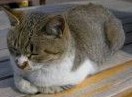 何だか変じゃないですか?