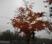 もういくつ寝ると~
