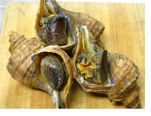 安い、おいしい!海産物はやっぱり海岸沿いだなぁ~