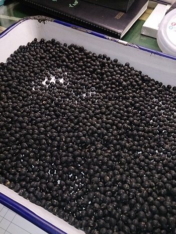 今度は納豆に挑戦だ!!