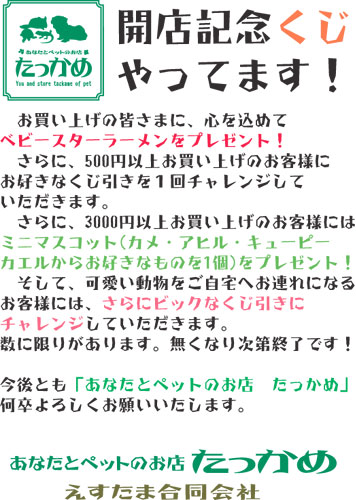 「開店記念くじ」やってます！