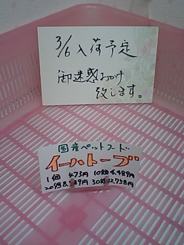金曜日までお待ちください！