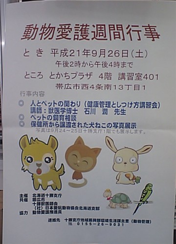今日の愛護週間行事に参加しましょう！