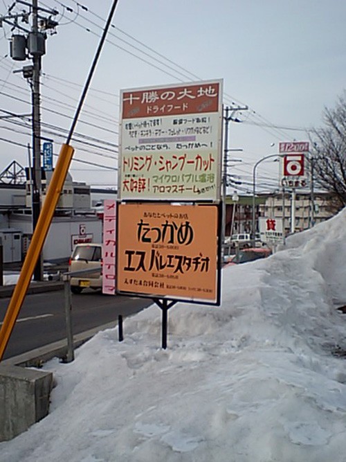 祝！看板がタチナオリマシタぁ！