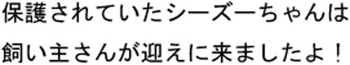 無事飼い主さんの元へ！