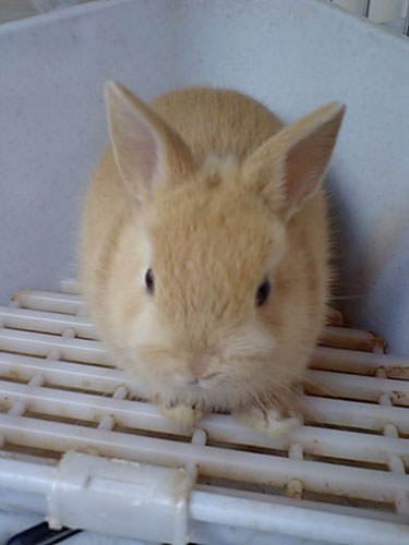 あけましておめでとうございます。