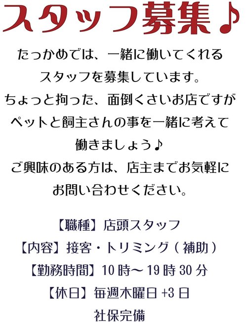 おいでおいで♪待ってるよ~♪スタッフ募集中♪