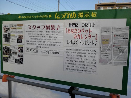 君は『たっかめ掲示板』を知ってるか♪
