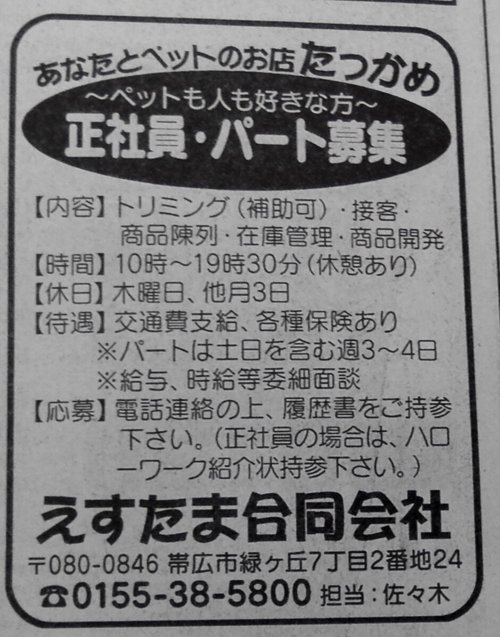 探してま～す♪スタッフ募集してま～す!!