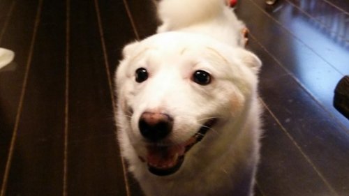 札幌で勉強会開催~主婦大歓迎♪
