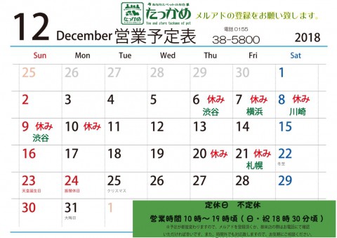 12月の予定です♪