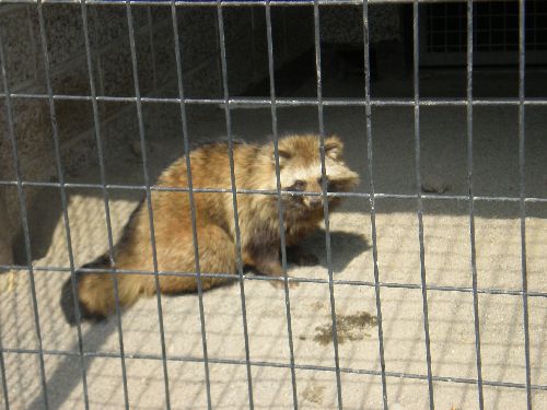 だいぶ落ち着きました