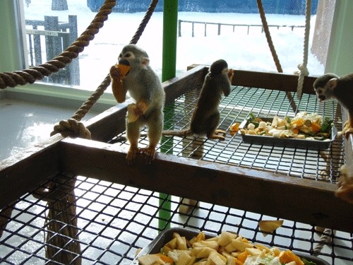 生めや増やせや