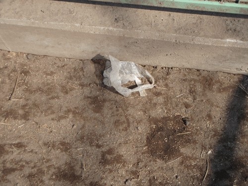 ウツベツ川沿いを股にかけたストーリー