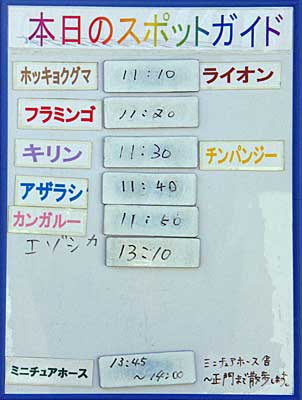 ２月１１日の予定