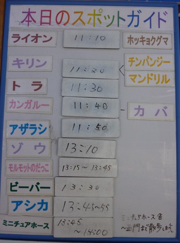 ２月１３日の予定表