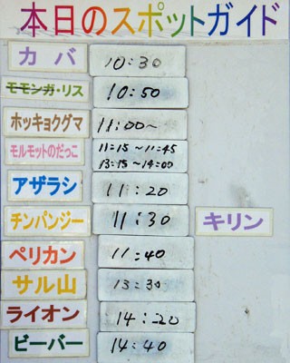 ５月４日の予定