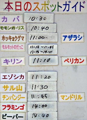 ５月５日の予定