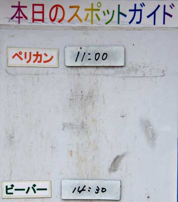 ５月１１日の予定