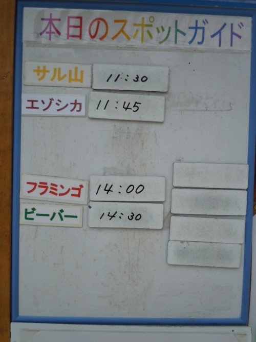 ５月１７日の予定