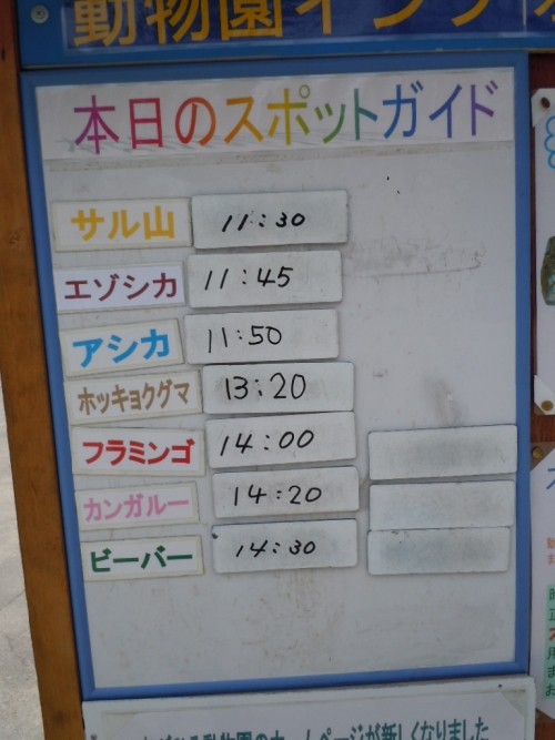 ５月１７日の予定　２