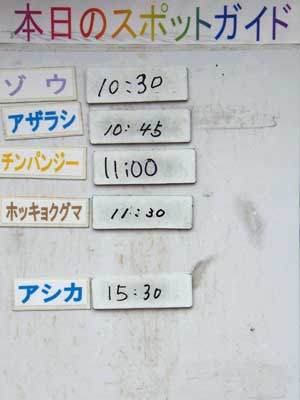 ５月２０日の予定